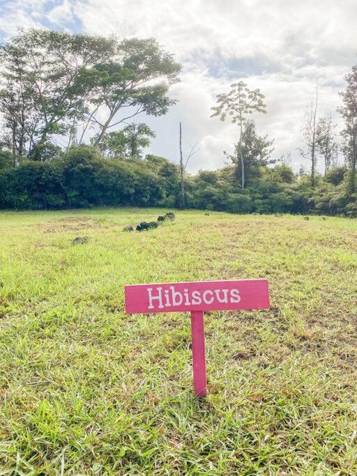 شقة Hibiscus Hale, Full Kitchen, King Bed, Parking Keaau المظهر الخارجي الصورة